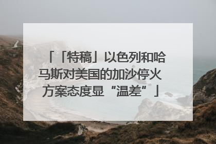 「特稿」以色列和哈马斯对美国的加沙停火方案态度显“温差”