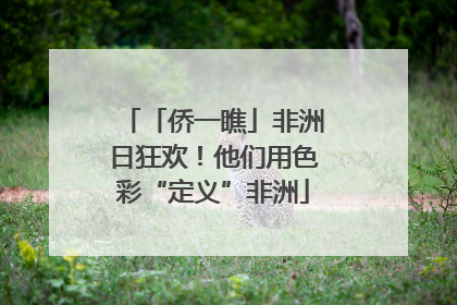 「侨一瞧」非洲日狂欢！他们用色彩“定义”非洲
