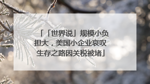 「世界说」规模小负担大，美国小企业哀叹生存之路因关税被堵