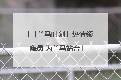 「兰马时刻」热情领嗨员 为兰马站台