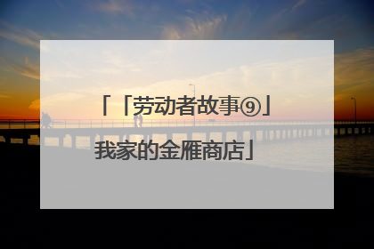「劳动者故事⑨」我家的金雁商店