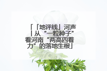 「地评线」河声丨从“一粒种子”看河南“两高四着力”的落地生根
