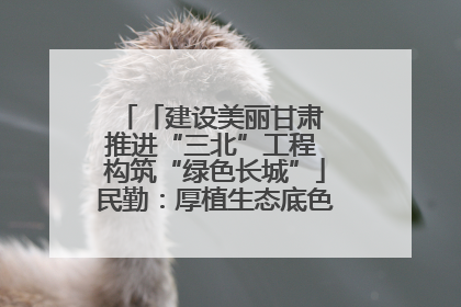 「建设美丽甘肃 推进“三北”工程 构筑“绿色长城”」民勤：厚植生态底色 筑牢绿色屏障