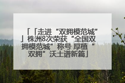「走进“双拥模范城”」株洲8次荣获“全国双拥模范城”称号 厚植“双拥”沃土谱新篇