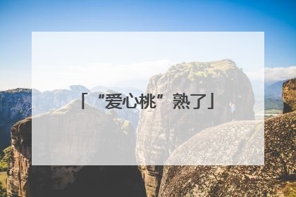 “爱心桃”熟了