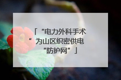“电力外科手术”为山区织密供电“防护网”