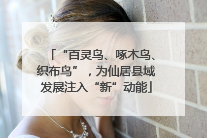 “百灵鸟、啄木鸟、织布鸟”，为仙居县域发展注入“新”动能