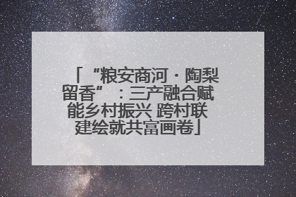 “粮安商河・陶梨留香”：三产融合赋能乡村振兴 跨村联建绘就共富画卷
