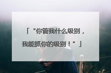 “你管我什么级别，我能抓你的级别！”
