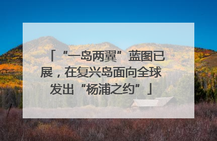 “一岛两翼”蓝图已展，在复兴岛面向全球发出“杨浦之约”
