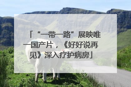 “一带一路”展映唯一国产片，《好好说再见》深入疗护病房