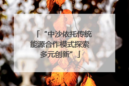“中沙依托传统能源合作模式探索多元创新”
