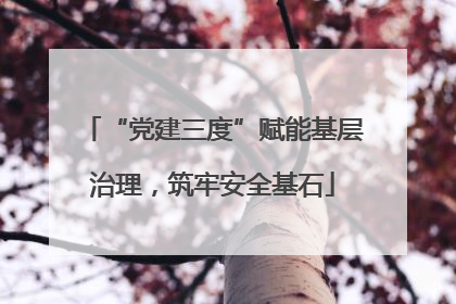 “党建三度”赋能基层治理，筑牢安全基石