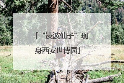 “凌波仙子”现身西安世博园