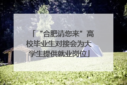 “合肥请您来”高校毕业生对接会为大学生提供就业岗位