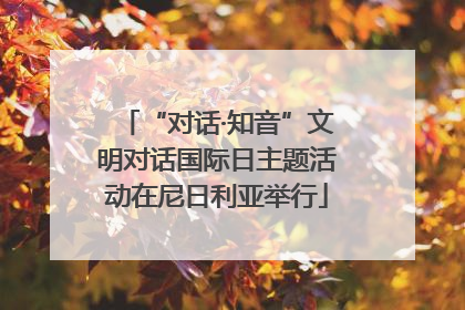 “对话·知音”文明对话国际日主题活动在尼日利亚举行