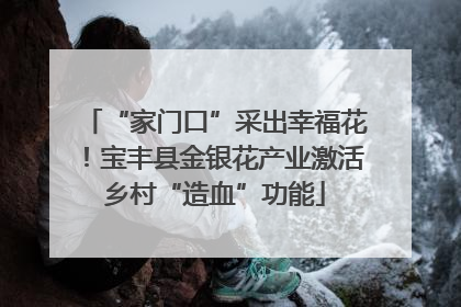 “家门口”采出幸福花！宝丰县金银花产业激活乡村“造血”功能