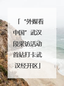 “外媒看中国”武汉段采访活动首站打卡武汉经开区