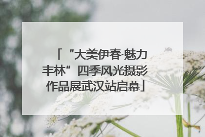 “大美伊春·魅力丰林”四季风光摄影作品展武汉站启幕