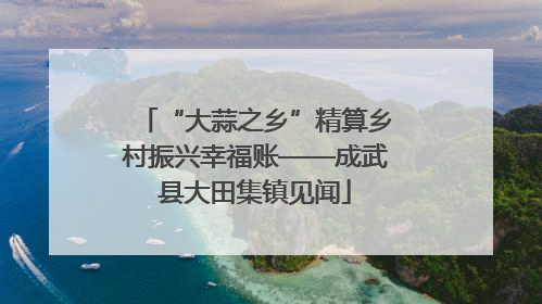 “大蒜之乡”精算乡村振兴幸福账——成武县大田集镇见闻