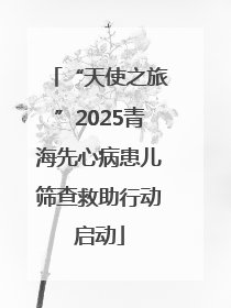 “天使之旅”2025青海先心病患儿筛查救助行动启动