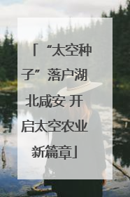 “太空种子”落户湖北咸安 开启太空农业新篇章