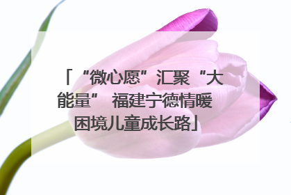 “微心愿”汇聚“大能量” 福建宁德情暖困境儿童成长路