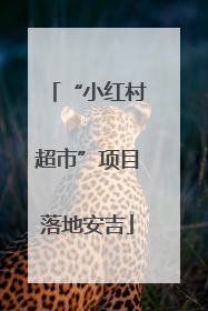 “小红村超市”项目落地安吉