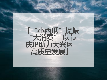 “小西瓜”提振“大消费” 以节庆IP助力大兴区高质量发展