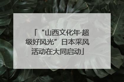 “山西文化年·超级好风光”日本采风活动在大同启动