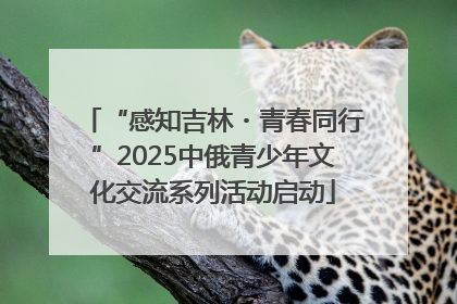 “感知吉林・青春同行”2025中俄青少年文化交流系列活动启动