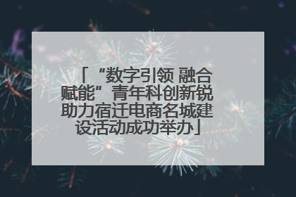 “数字引领 融合赋能”青年科创新锐助力宿迁电商名城建设活动成功举办