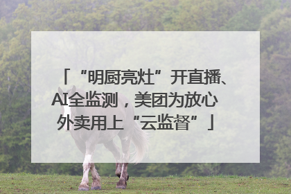 “明厨亮灶”开直播、AI全监测，美团为放心外卖用上“云监督”