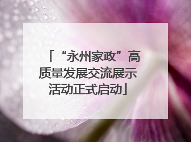 “永州家政”高质量发展交流展示活动正式启动