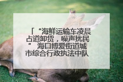“海鲜运输车凌晨占道卸货，噪声扰民” 海口博爱街道城市综合行政执法中队：将联合交警加强长堤路一带巡逻