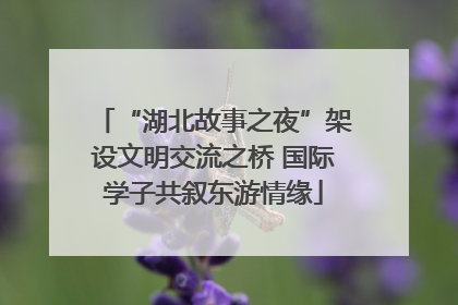 “湖北故事之夜”架设文明交流之桥 国际学子共叙东游情缘
