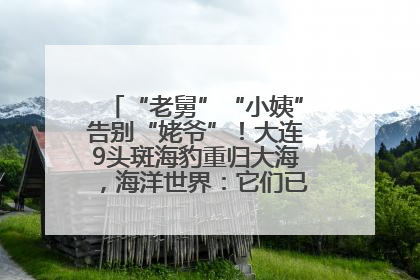 “老舅”“小姨”告别“姥爷”！大连9头斑海豹重归大海，海洋世界：它们已具备野外生存能力