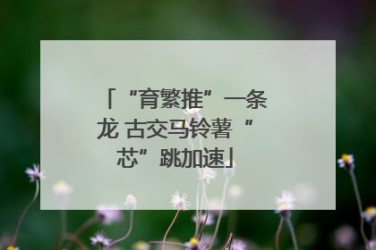 “育繁推”一条龙 古交马铃薯“芯”跳加速