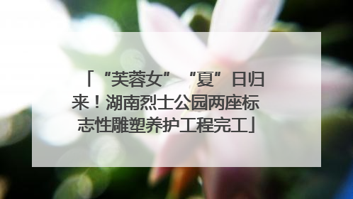 “芙蓉女”“夏”日归来！湖南烈士公园两座标志性雕塑养护工程完工