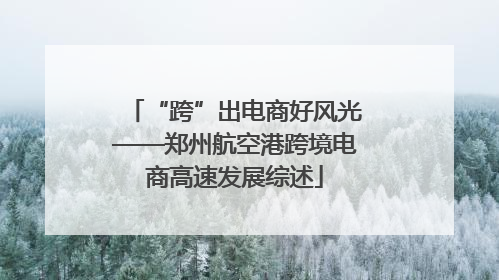 “跨”出电商好风光——郑州航空港跨境电商高速发展综述