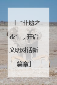 “非遗之夜”，开启文明对话新篇章
