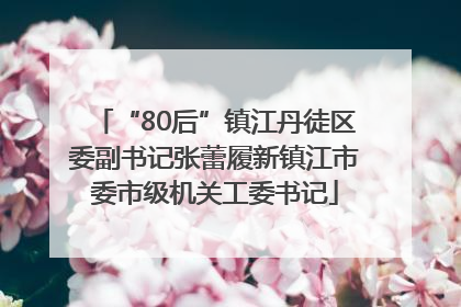 “80后”镇江丹徒区委副书记张蕾履新镇江市委市级机关工委书记