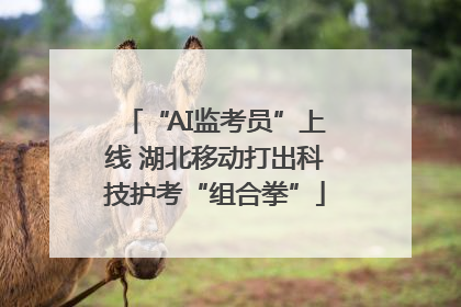 “AI监考员”上线 湖北移动打出科技护考“组合拳”