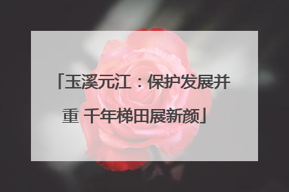 玉溪元江：保护发展并重 千年梯田展新颜