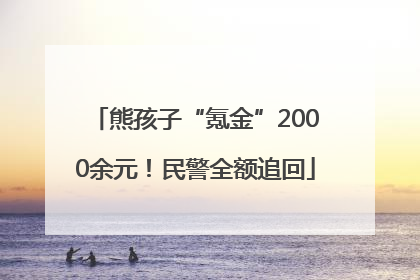 熊孩子“氪金”2000余元！民警全额追回