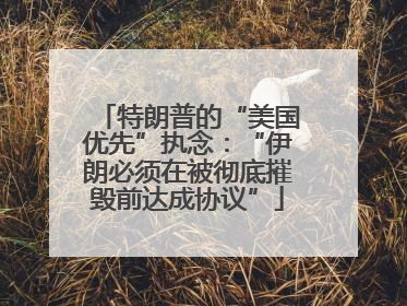 特朗普的“美国优先”执念：“伊朗必须在被彻底摧毁前达成协议”