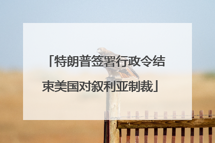 特朗普签署行政令结束美国对叙利亚制裁