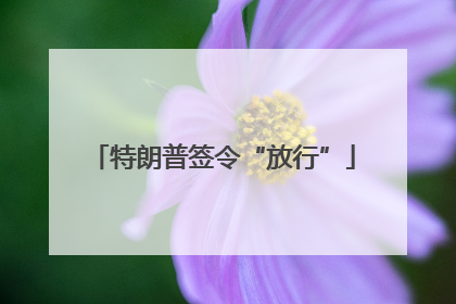 特朗普签令“放行”