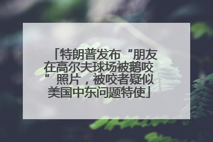 特朗普发布“朋友在高尔夫球场被鹅咬”照片，被咬者疑似美国中东问题特使