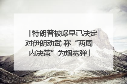 特朗普被曝早已决定对伊朗动武 称“两周内决策”为烟雾弹